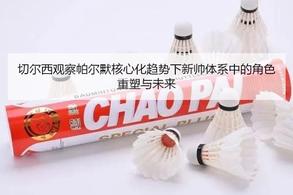 切尔西观察帕尔默核心化趋势下新帅体系中的角色重塑与未来